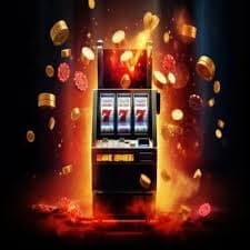 kaki slot